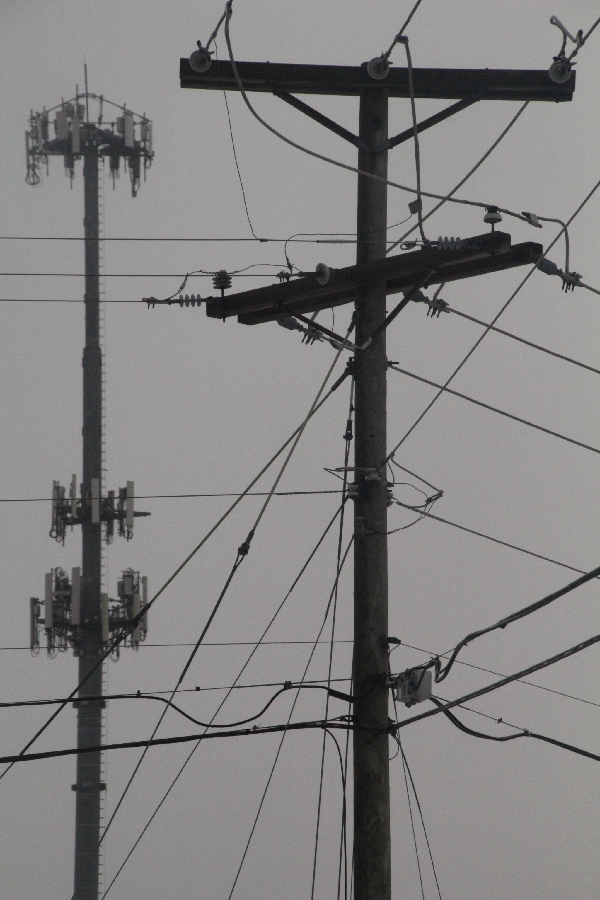 Canon EOS 1200D (EOS Rebel T5 / EOS Kiss X70 / EOS Hi) sample photo. Wires and poles. 电线和杆子。 alambres y polos. ワイヤーとポール photography