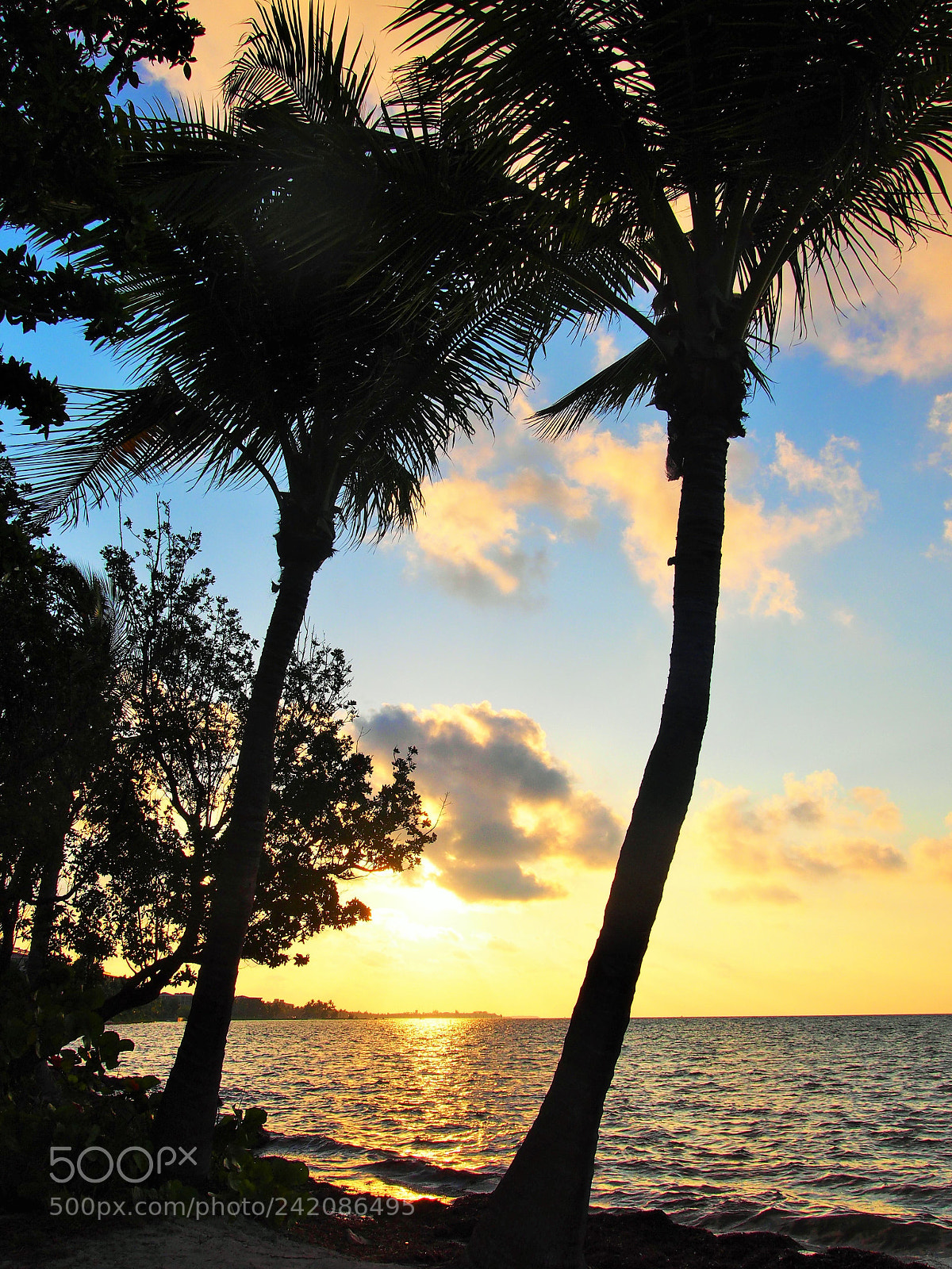 Olympus PEN E-PM2 sample photo. Key west sunrise photography