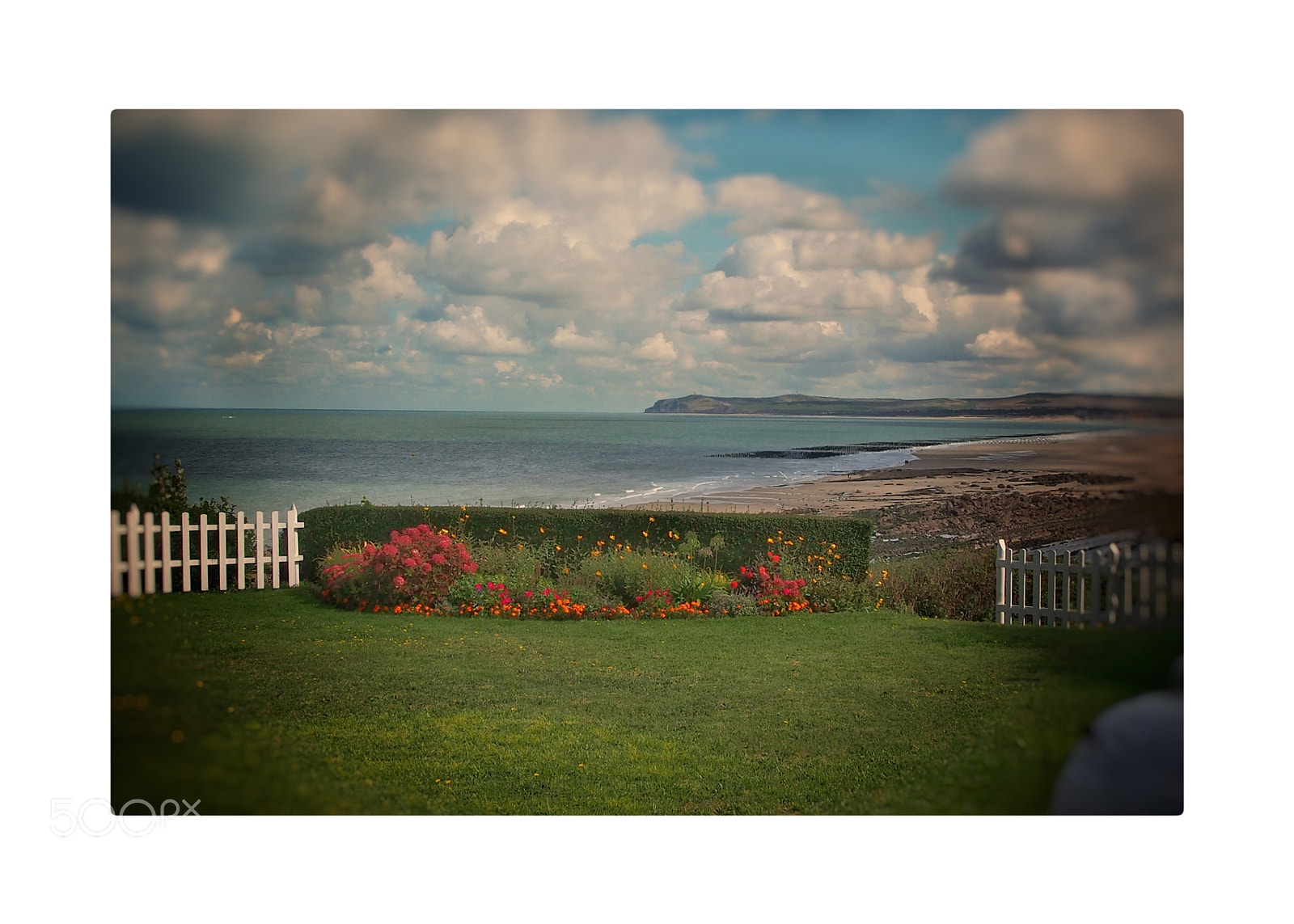 Olympus OM-D E-M5 sample photo. Gris nez photography