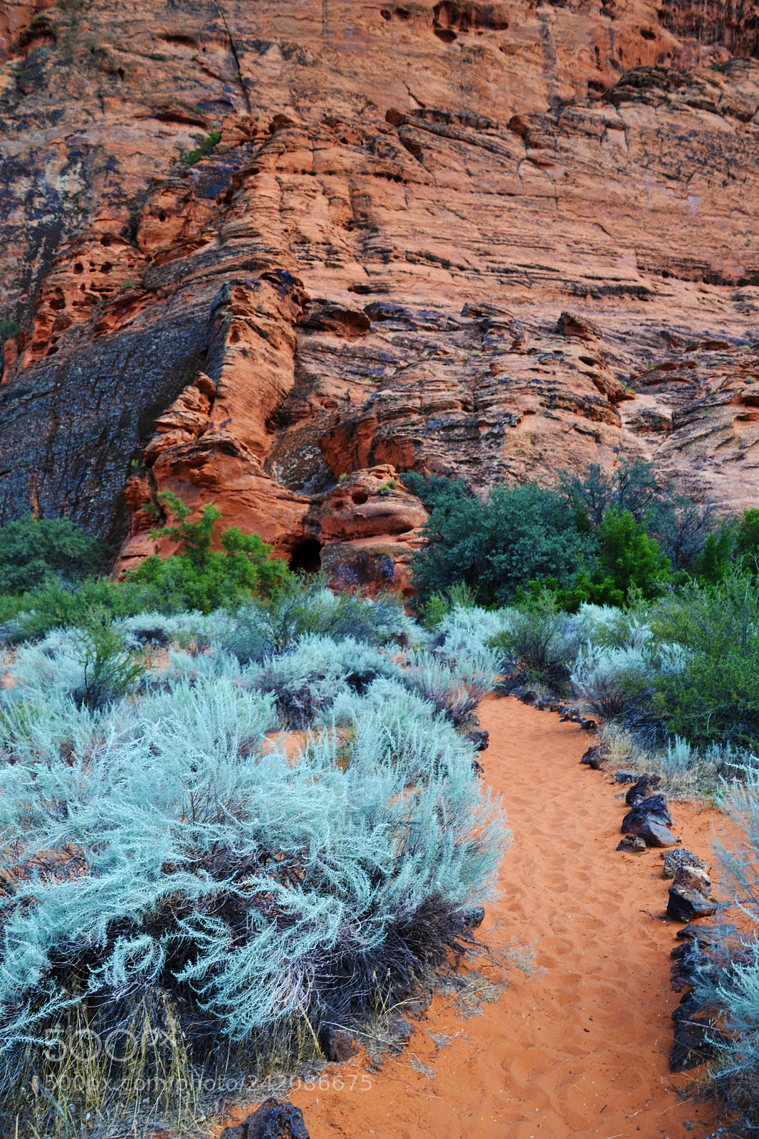 Nikon D3100 sample photo. Canyon walk photography