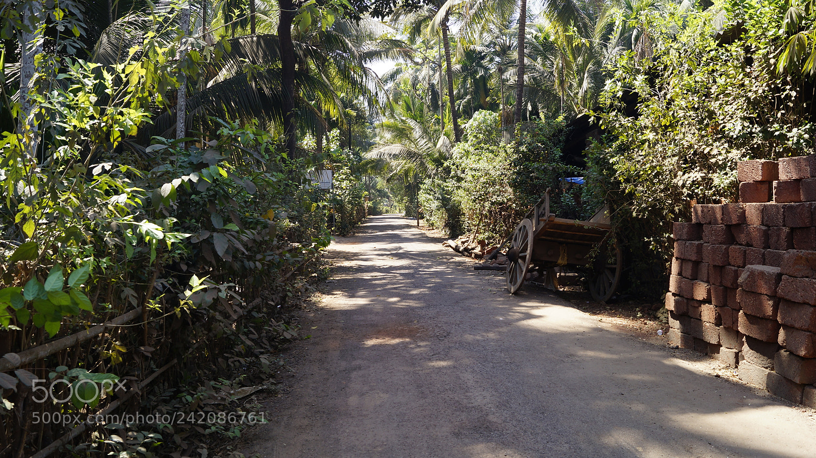 Sony SLT-A57 sample photo. The village roads photography