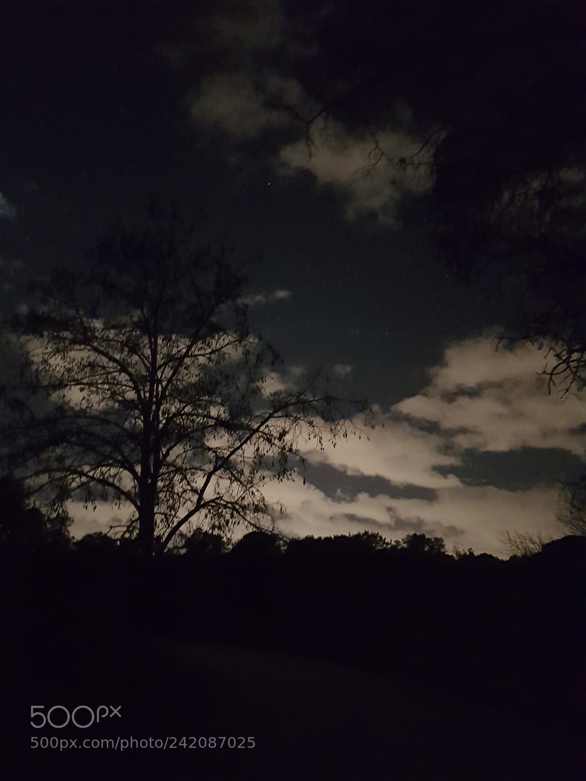 Samsung Galaxy S8+ sample photo. By night photography