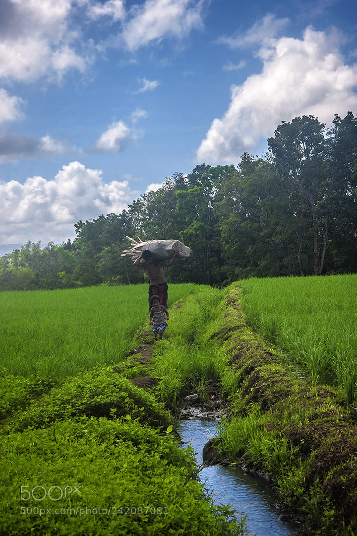 Nikon D90 sample photo. Wood gathering & coming home photography