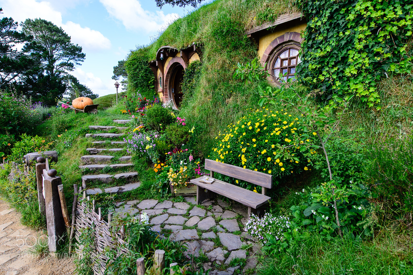 Nikon D600 sample photo. Bag end photography