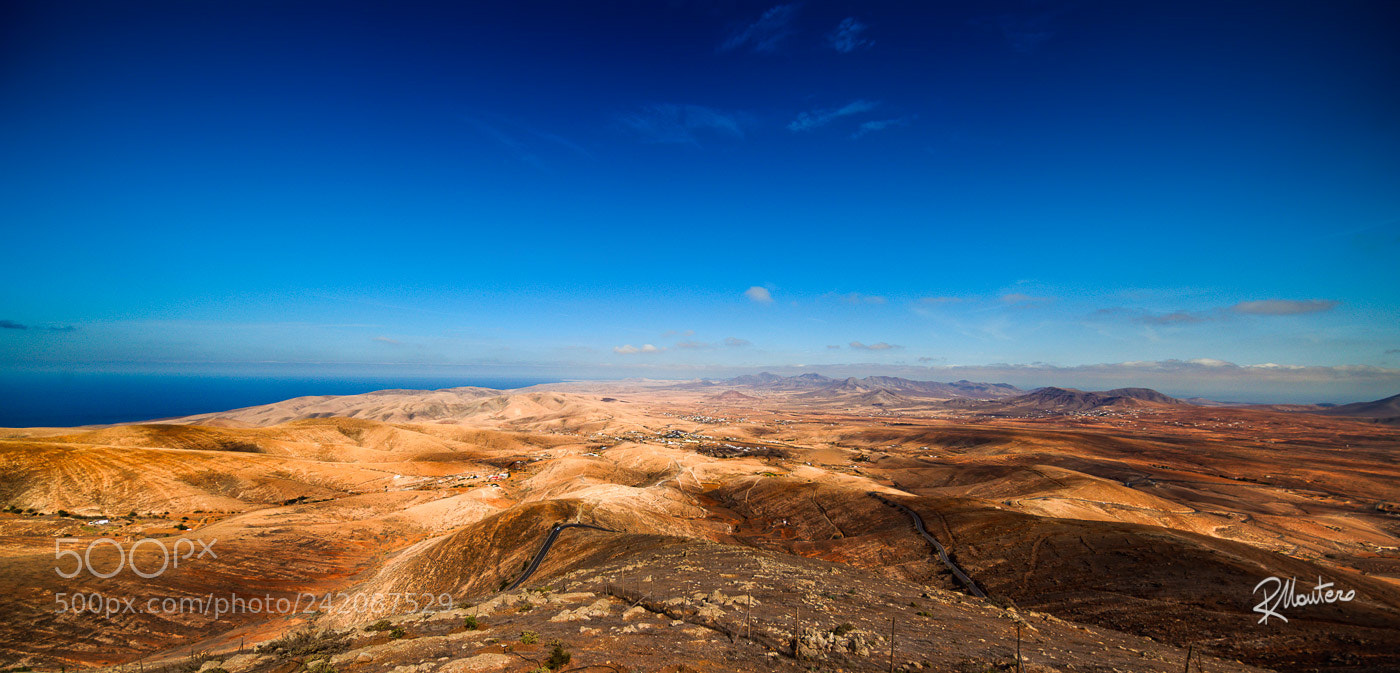 Nikon D810 sample photo. Bird view photography