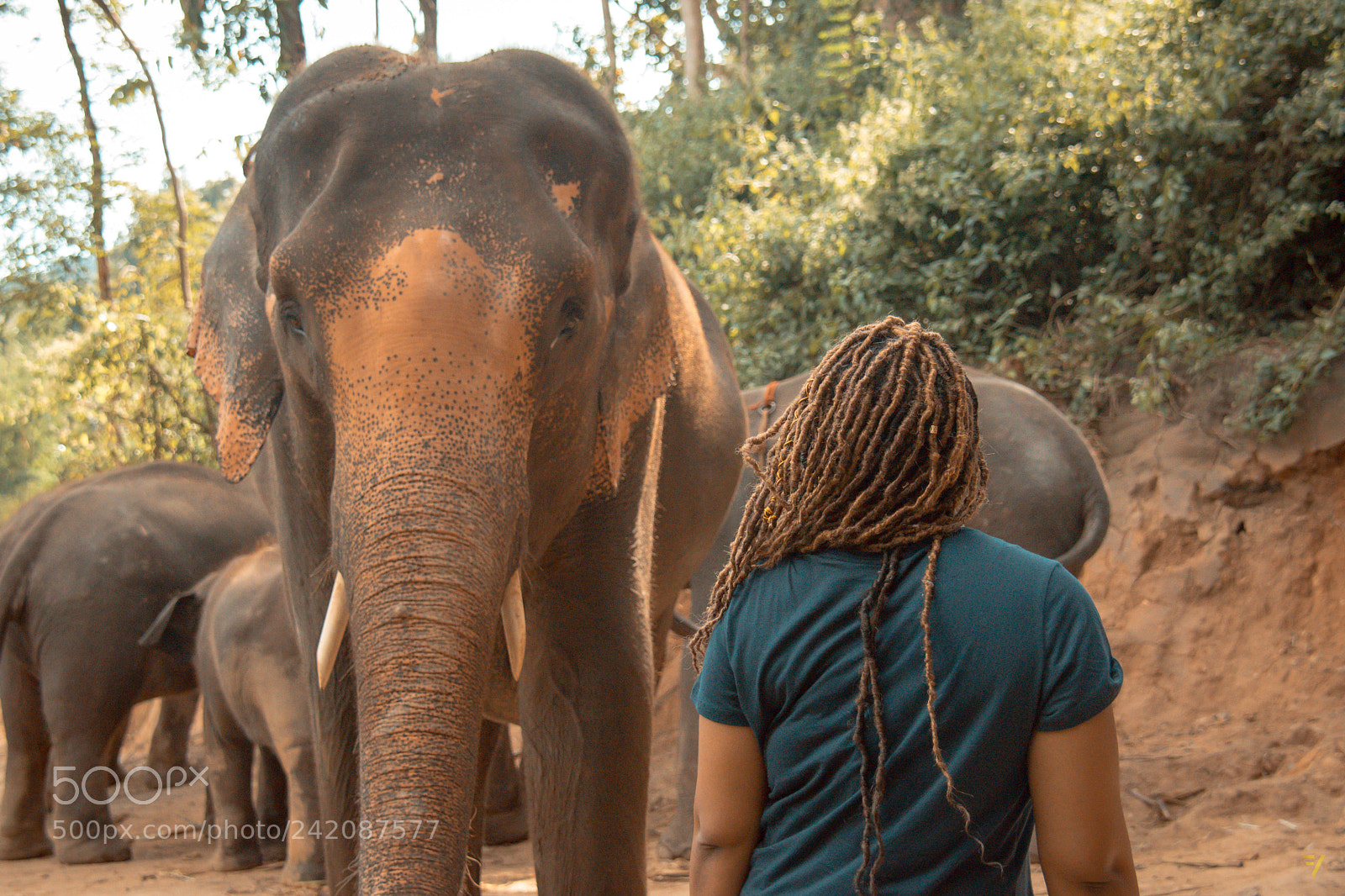 Nikon D5500 sample photo. New friends photography