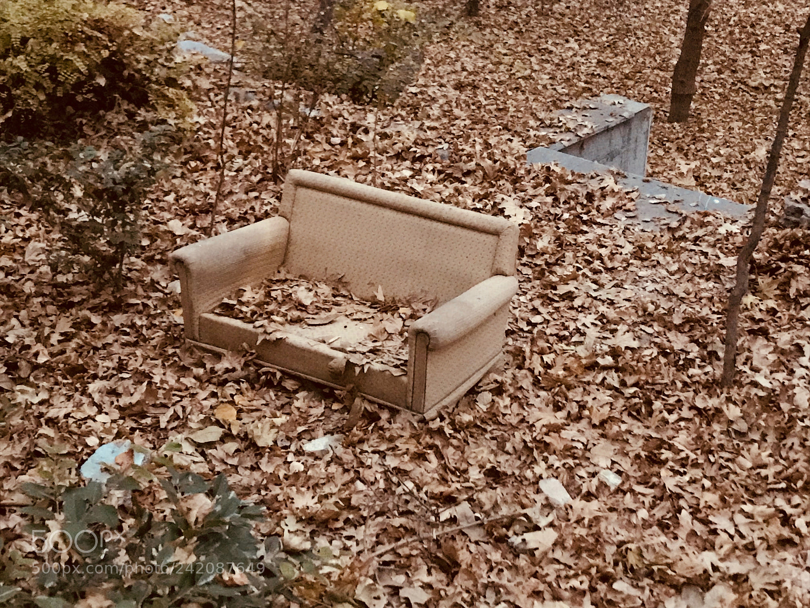 Apple iPhone 7 sample photo. Autumn & sofa photography