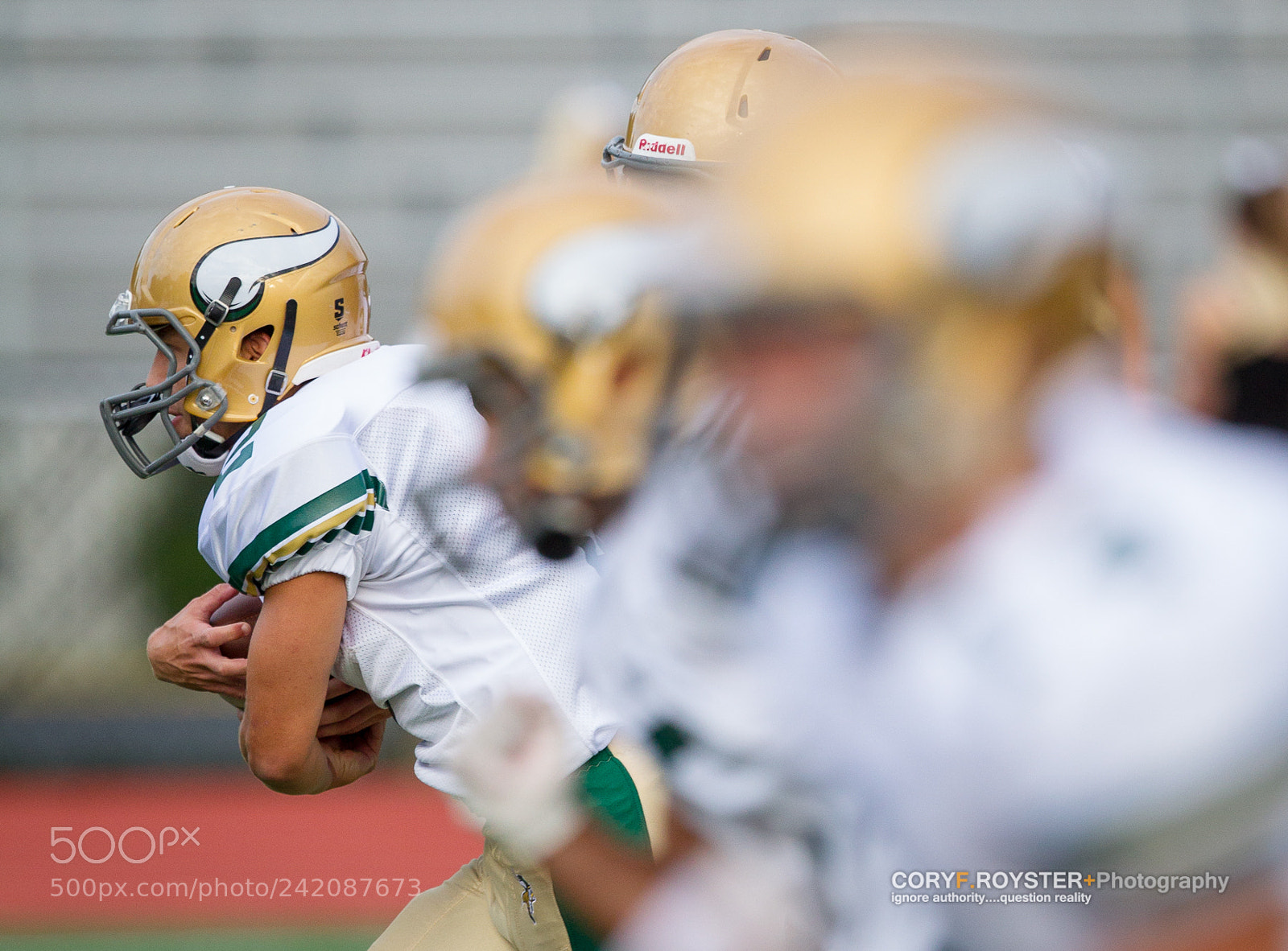 Canon EOS-1D Mark IV sample photo. The mesh point photography