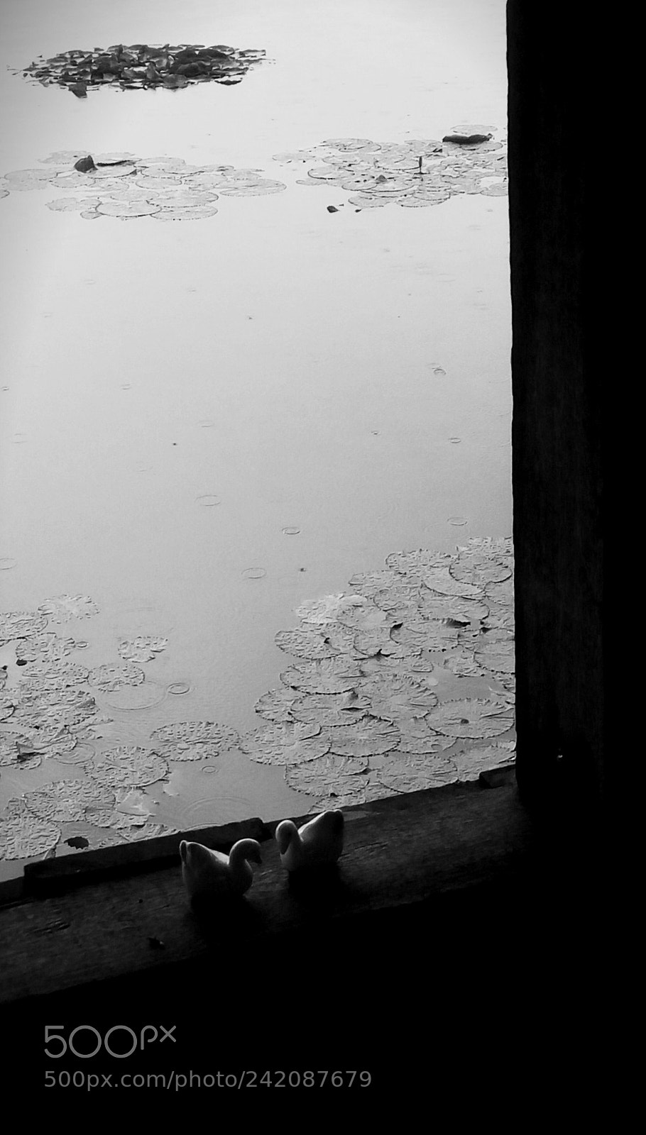 HTC D728X sample photo. Untitled photography