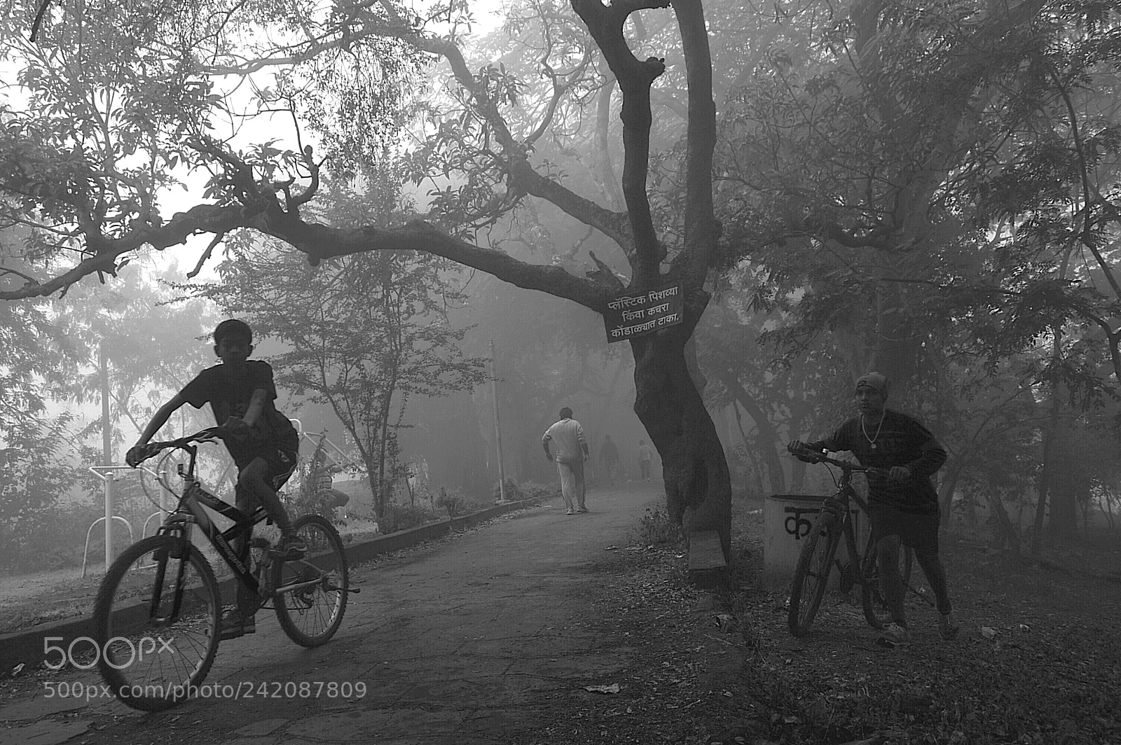 Nikon D3200 sample photo. A foggy morning photography