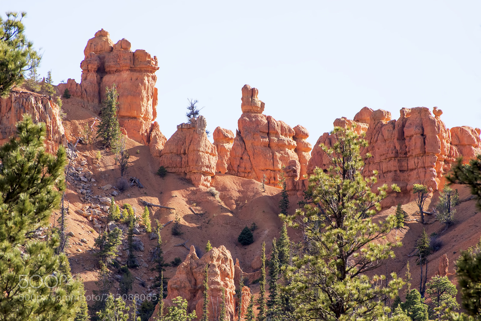 Nikon D600 sample photo. Craggy top (2) photography