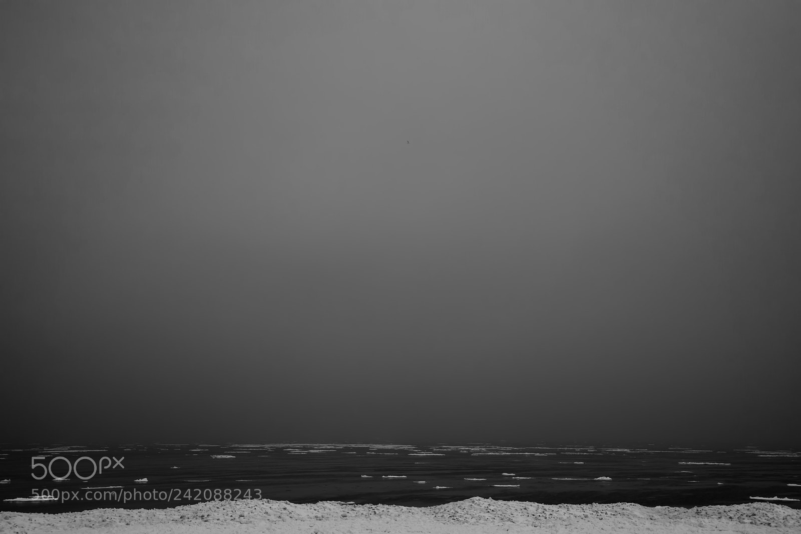 Sony a7 II sample photo. Michiana shores photography