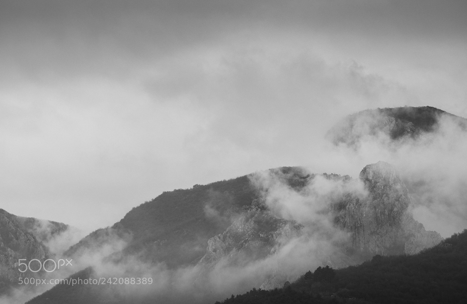 Nikon D7200 sample photo. Foggy photography