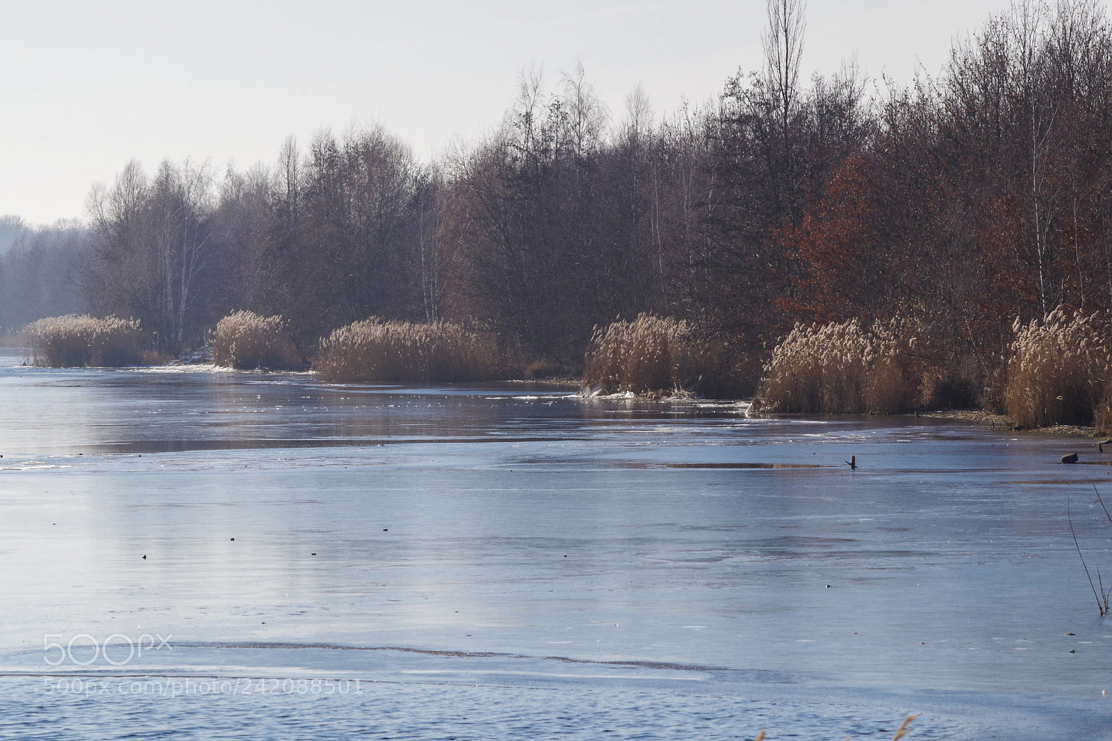 Pentax K-30 sample photo. Wintersee photography