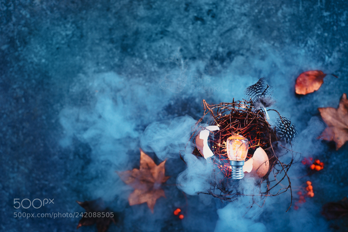 Nikon D800 sample photo. Shining light bulb in photography
