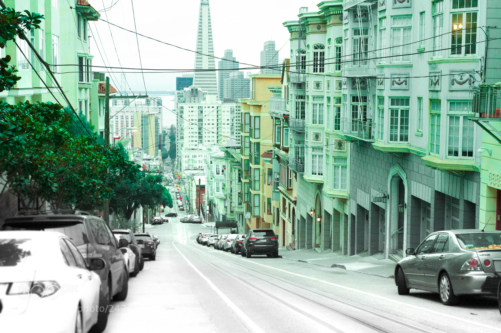 Nikon D5500 sample photo. The city in green. photography