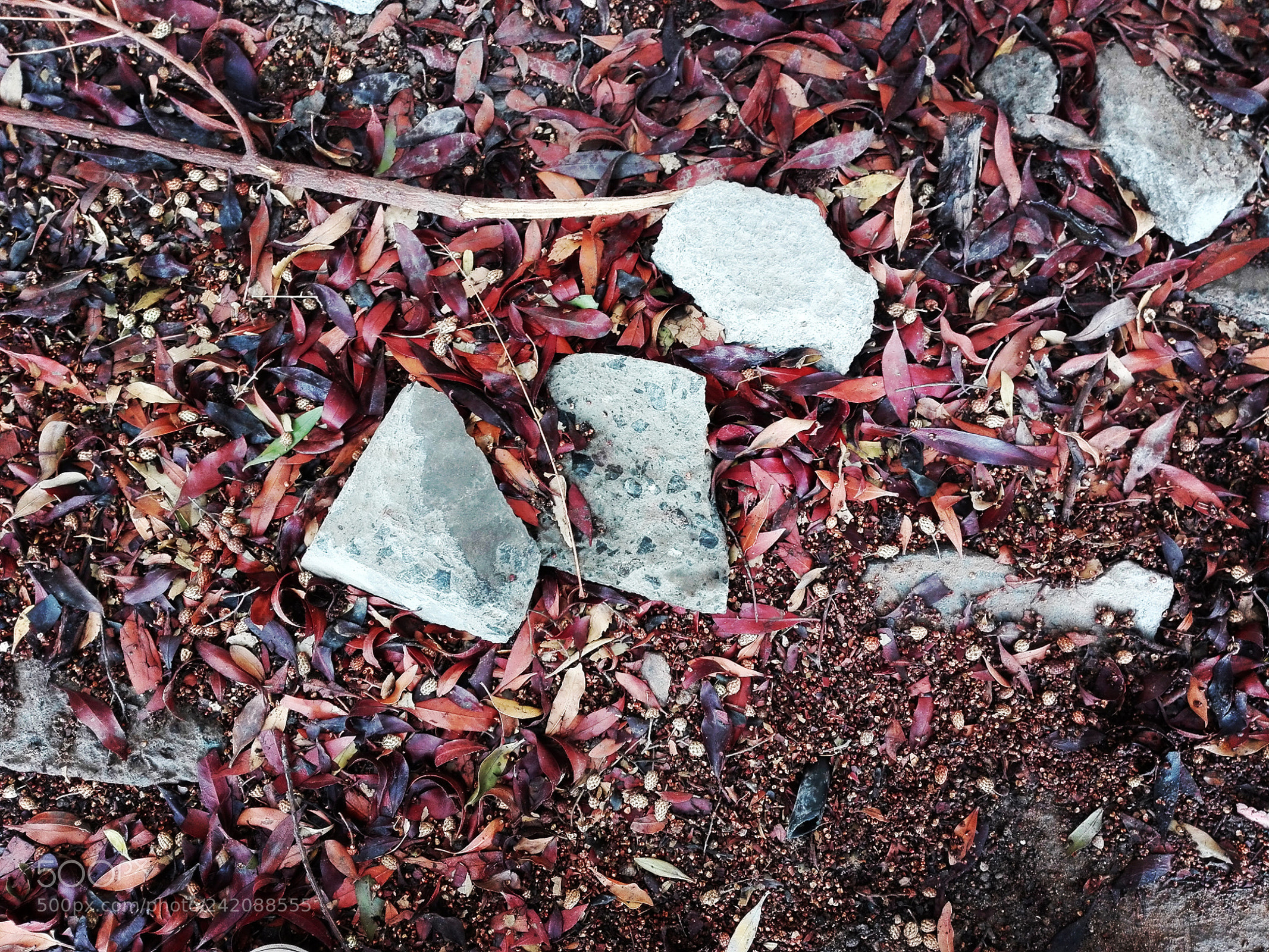 HUAWEI Y6II sample photo. Rust photography