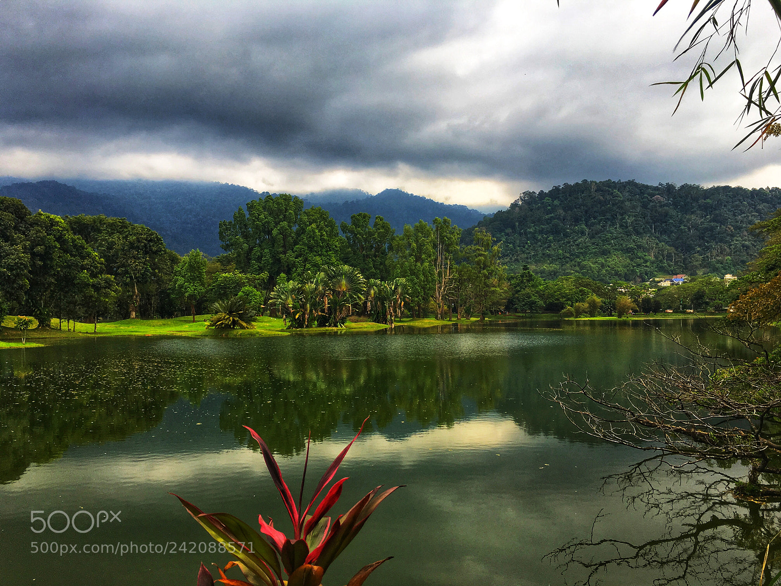 Apple iPhone 6s sample photo. Lake gardens taiping, perak photography