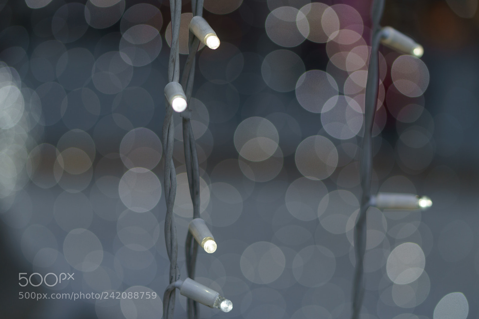 Sony a6500 sample photo. Lights photography