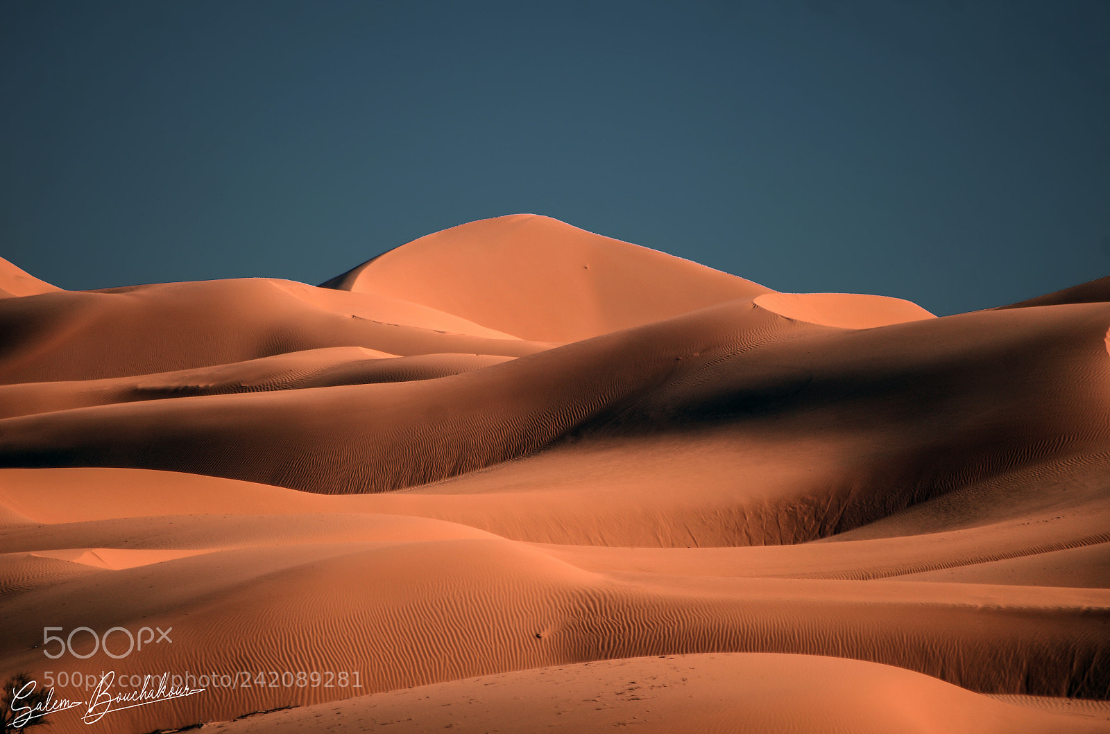 Pentax K-5 sample photo. Golden dunes photography