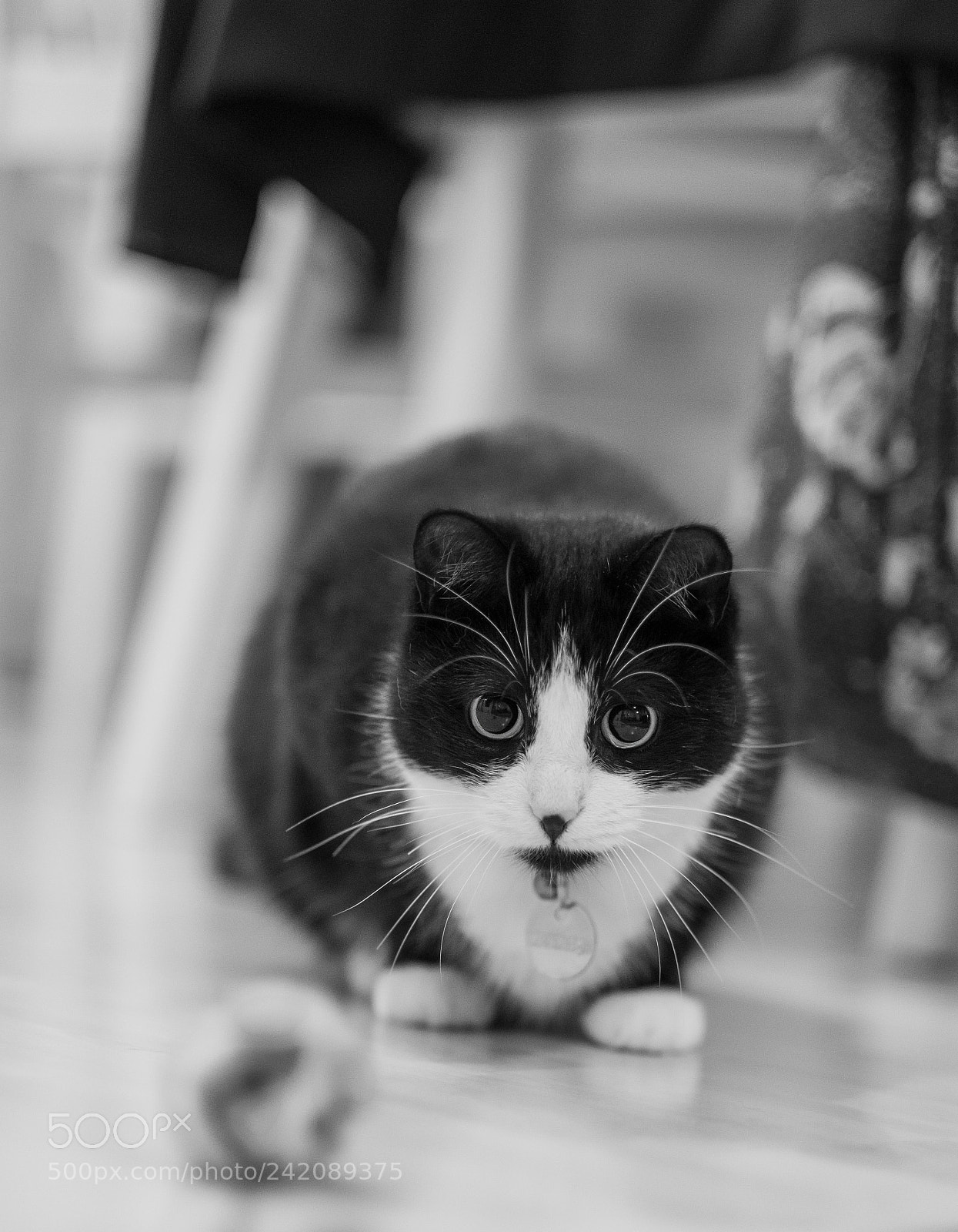 Fujifilm X-T2 sample photo. “?” photography