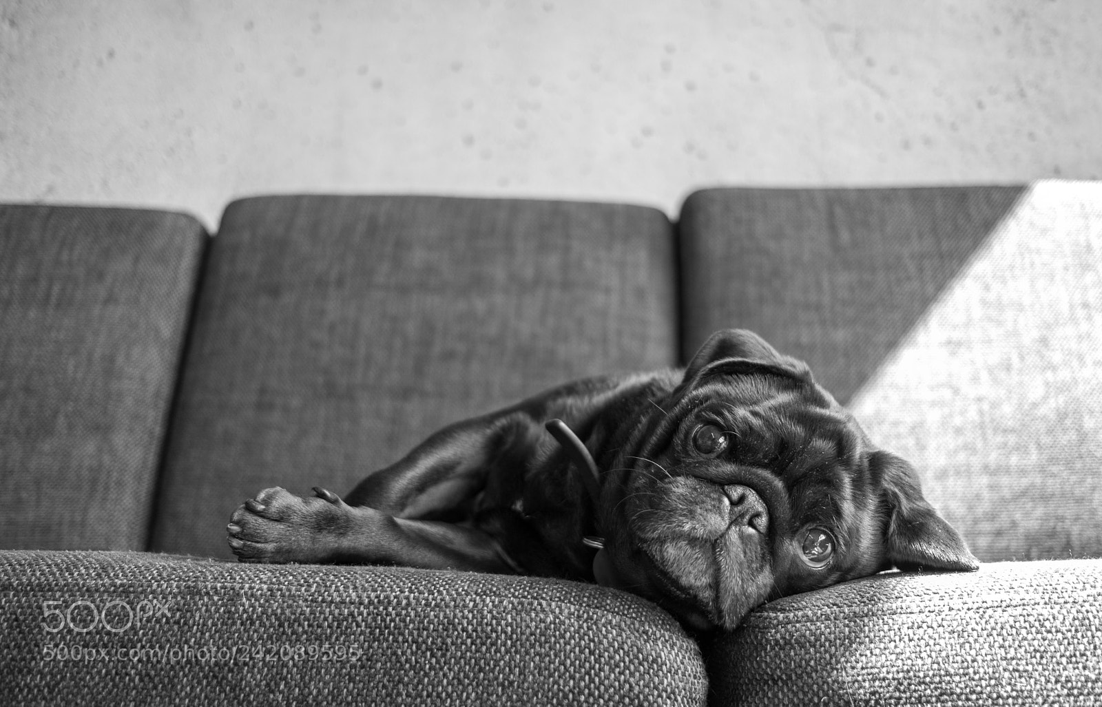 Fujifilm X-T2 sample photo. “?” photography