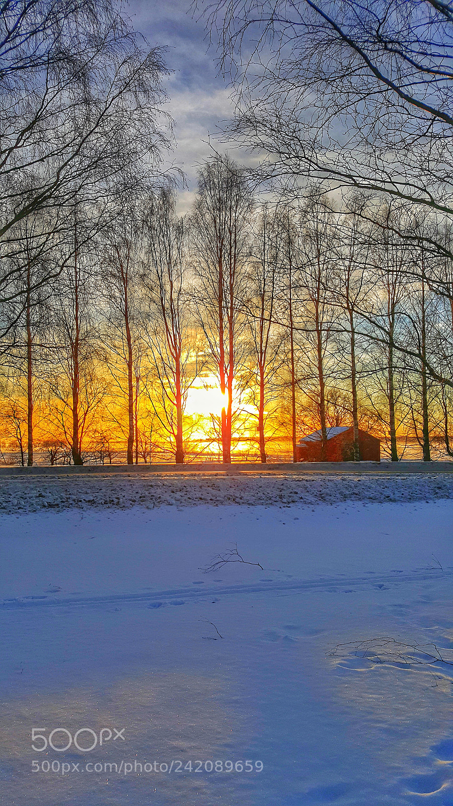 Samsung Galaxy S6 sample photo. Sunset behind the trees! photography