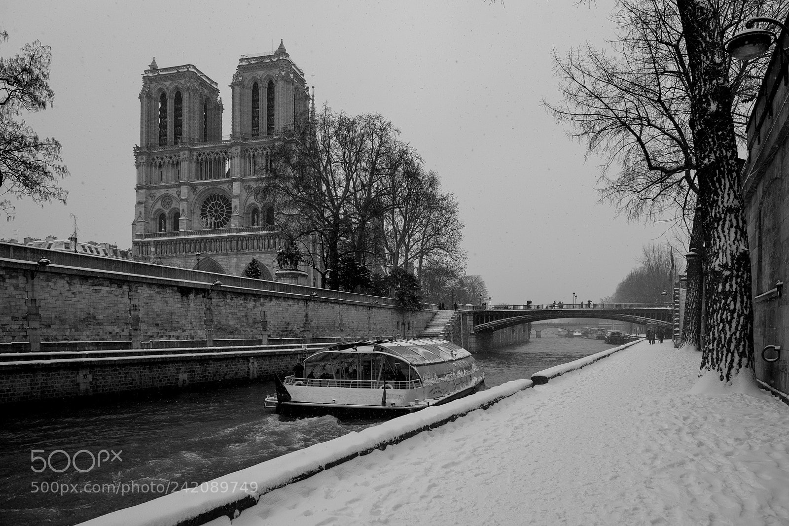 Nikon D4 sample photo. Notre dame de paris photography