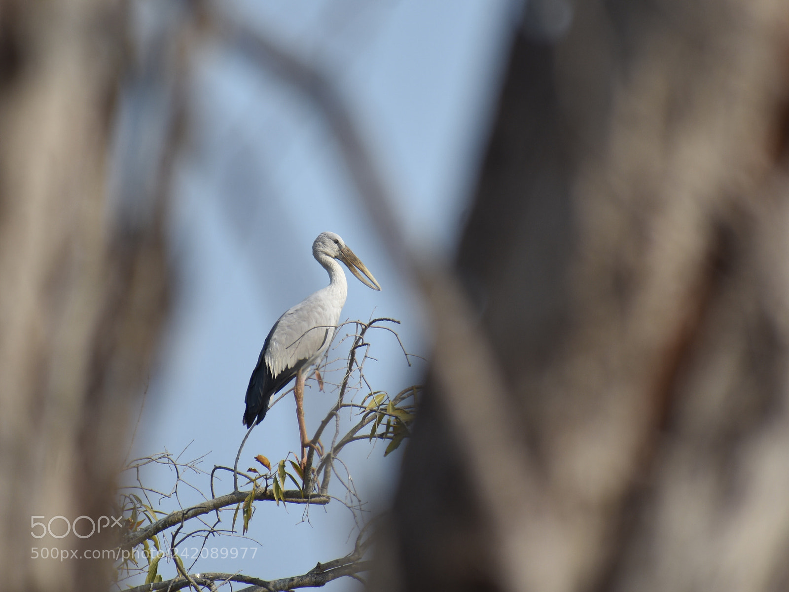 Nikon D3400 sample photo. Bird view!!! photography