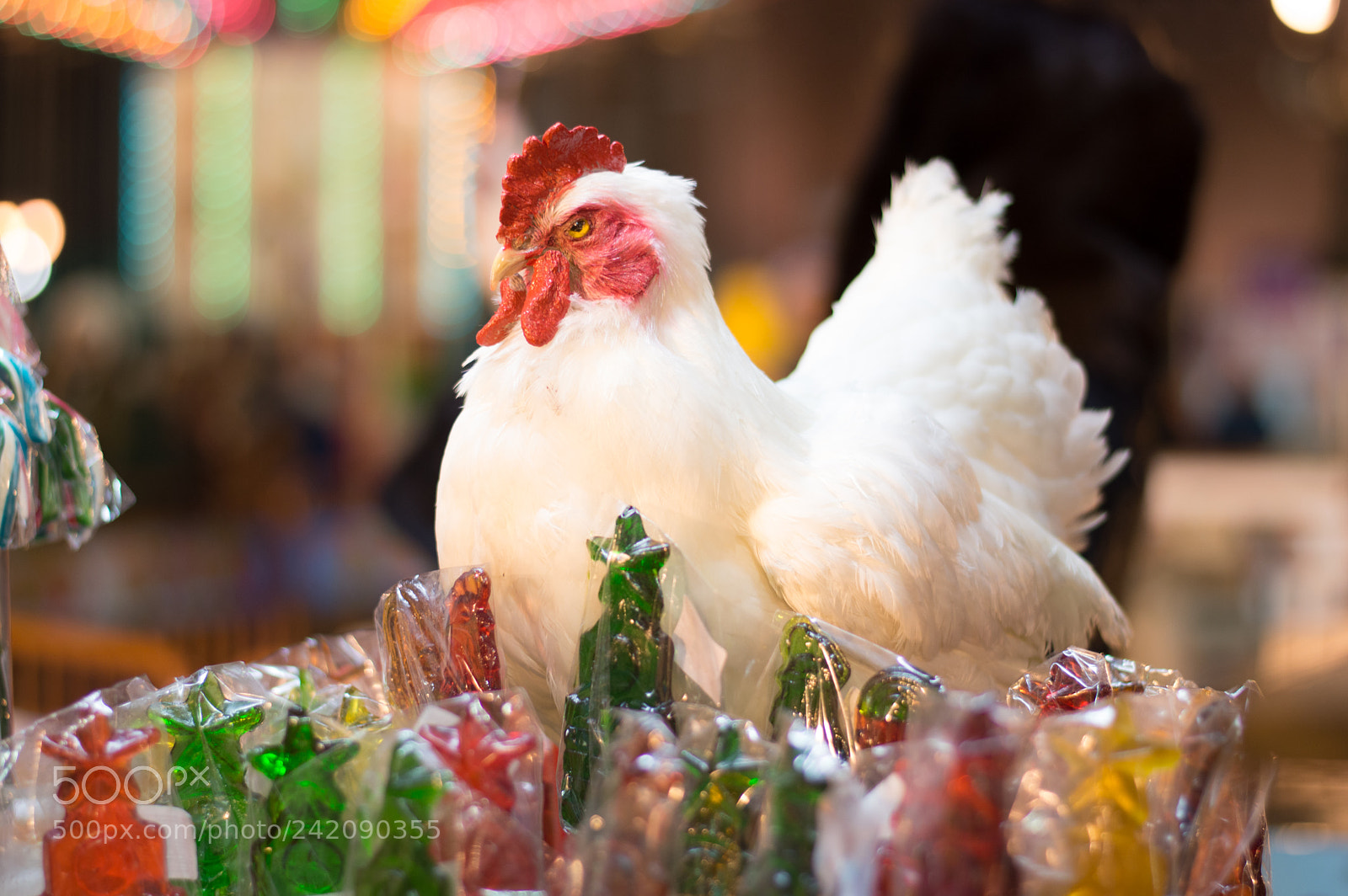 Nikon D3200 sample photo. A stuffed chicken among photography
