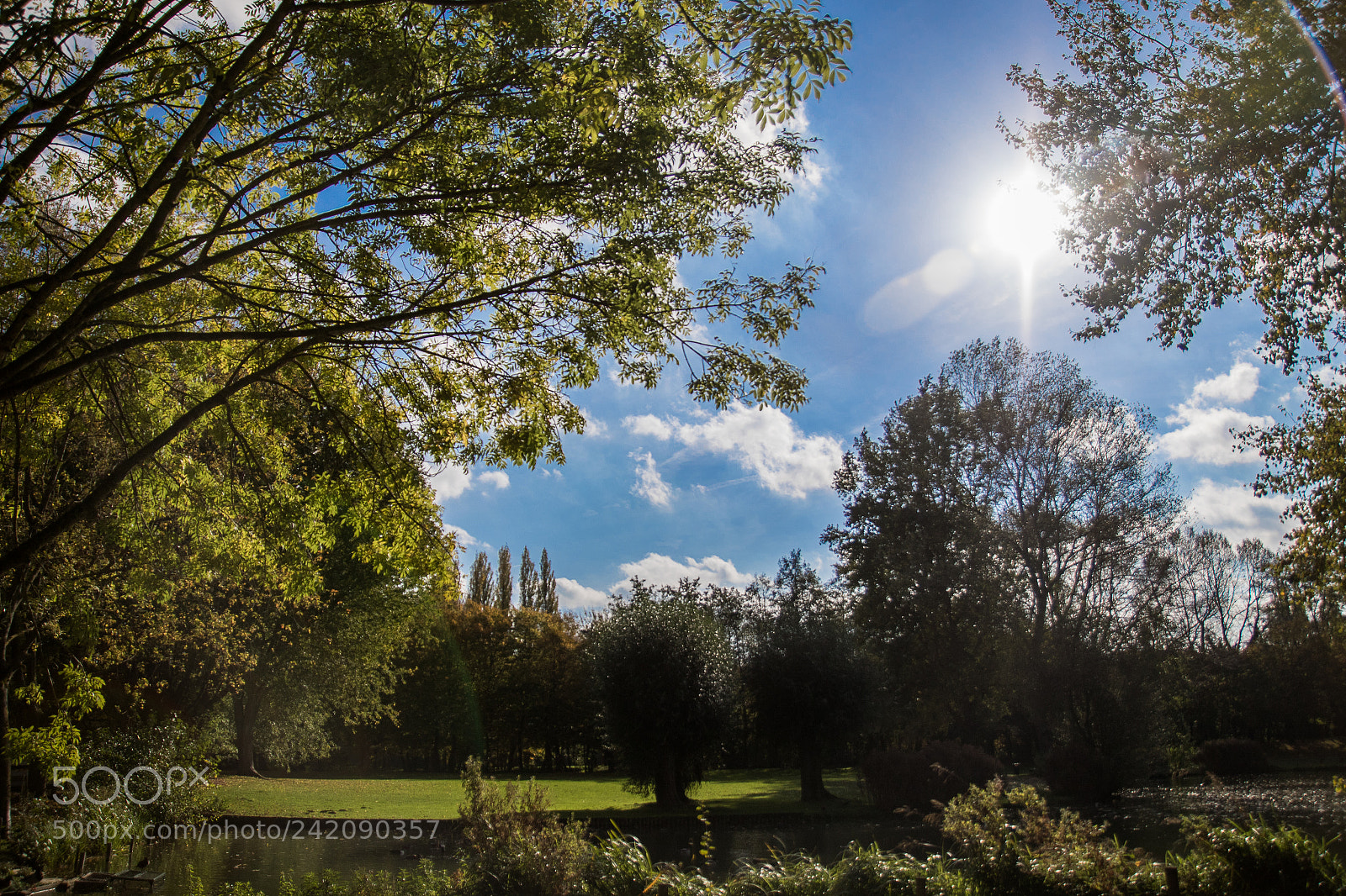 Canon EOS 7D Mark II sample photo. Ha photography