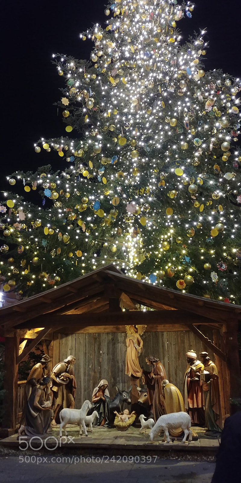 LG G6 sample photo. Untitled photography