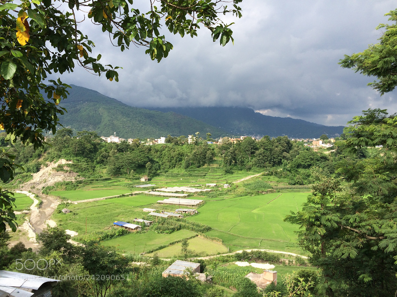 Apple iPhone 5s sample photo. Img photography
