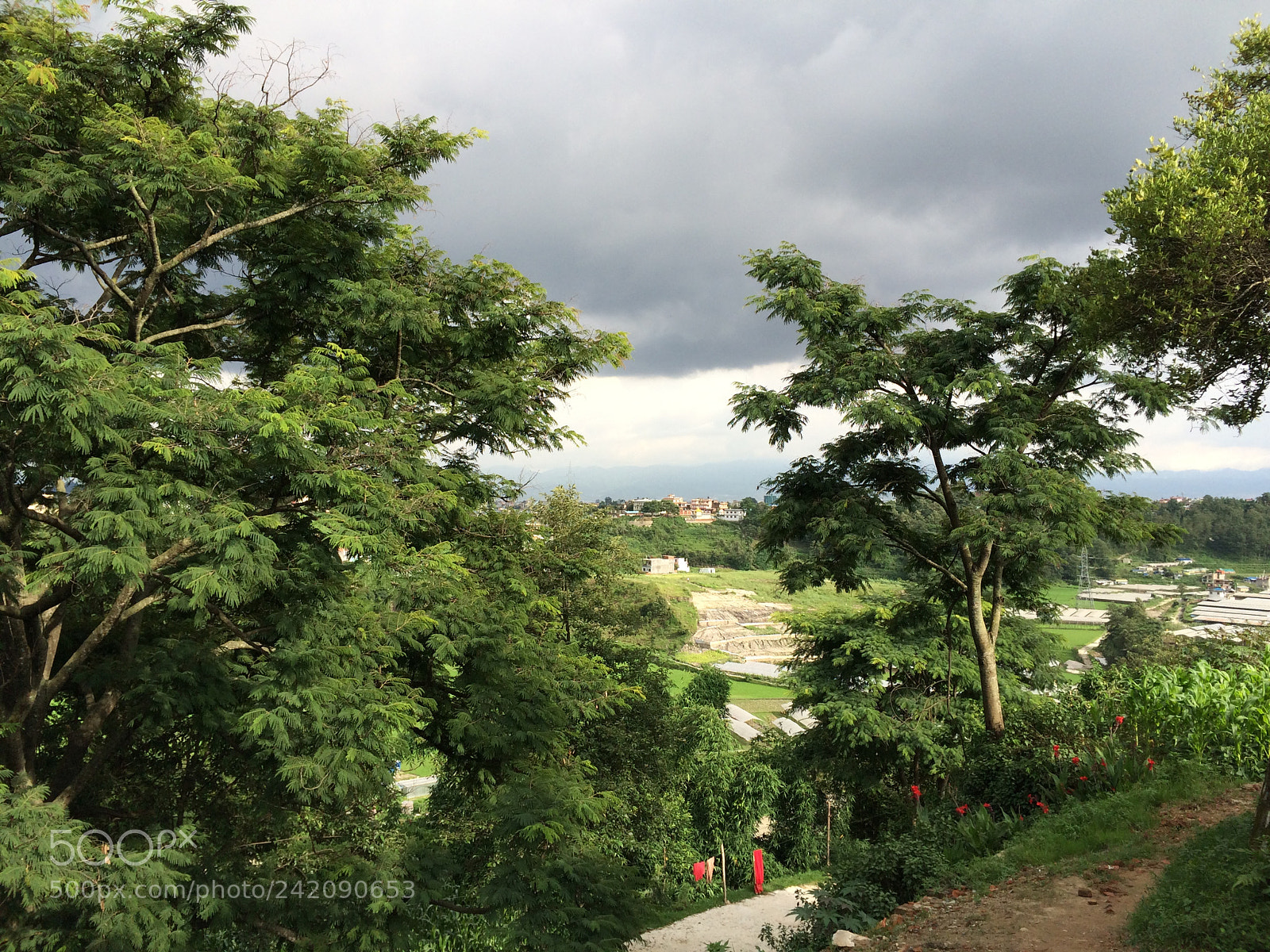 Apple iPhone 5s sample photo. Img photography