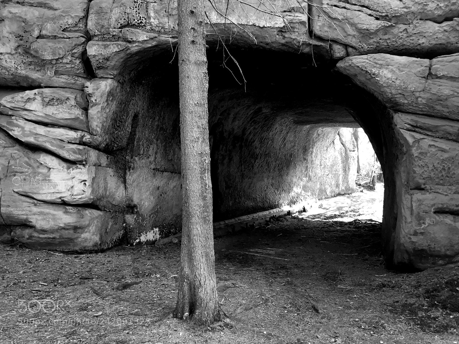 Apple iPhone SE sample photo. Patch through the tunnel photography