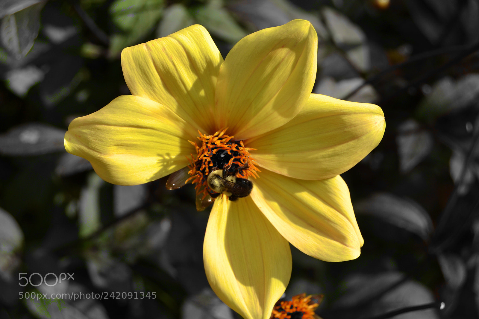 Nikon D3100 sample photo. Balance photography