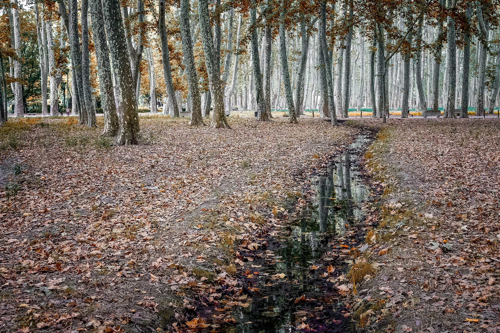 Canon EOS 650D (EOS Rebel T4i / EOS Kiss X6i) sample photo. Girona photography