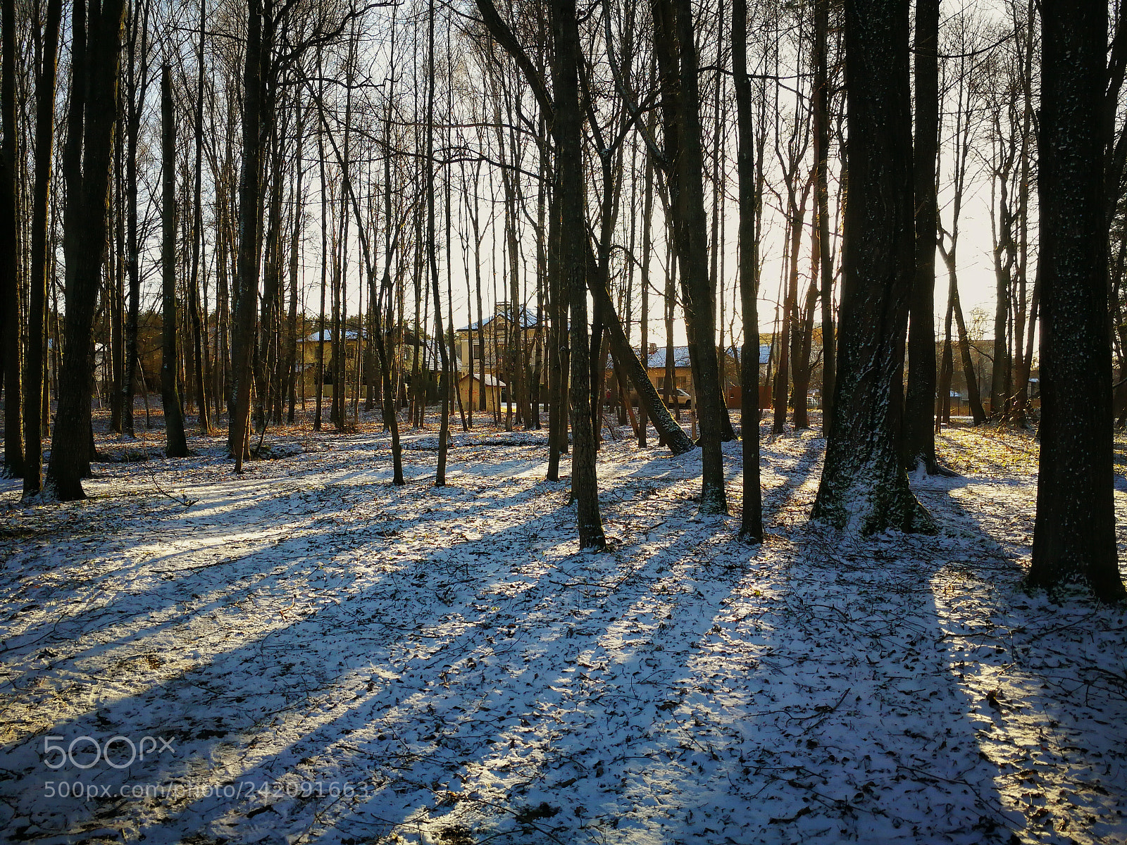 HUAWEI P10 sample photo. Shadows photography