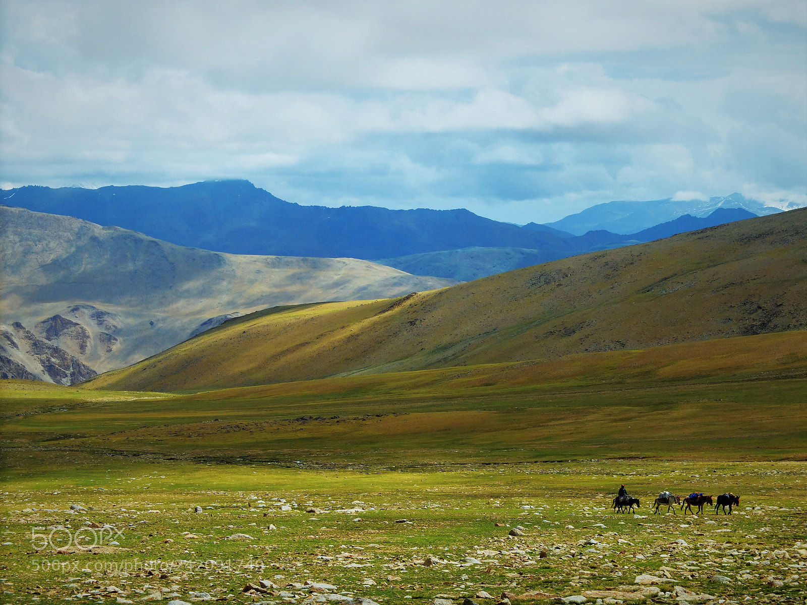 Fujifilm X20 sample photo. Western himalaya - ladakh photography