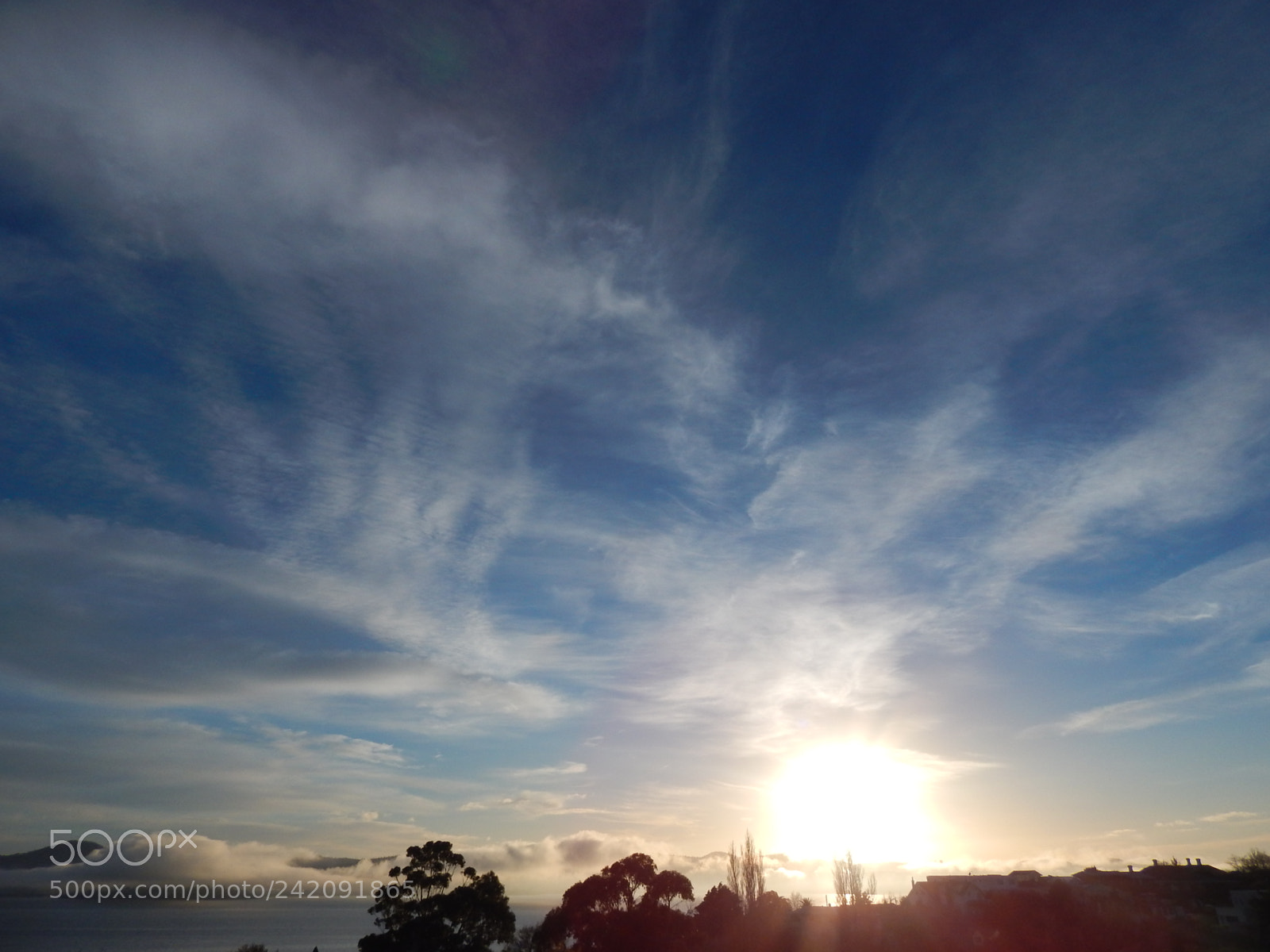 Nikon Coolpix L830 sample photo. Awakened photography