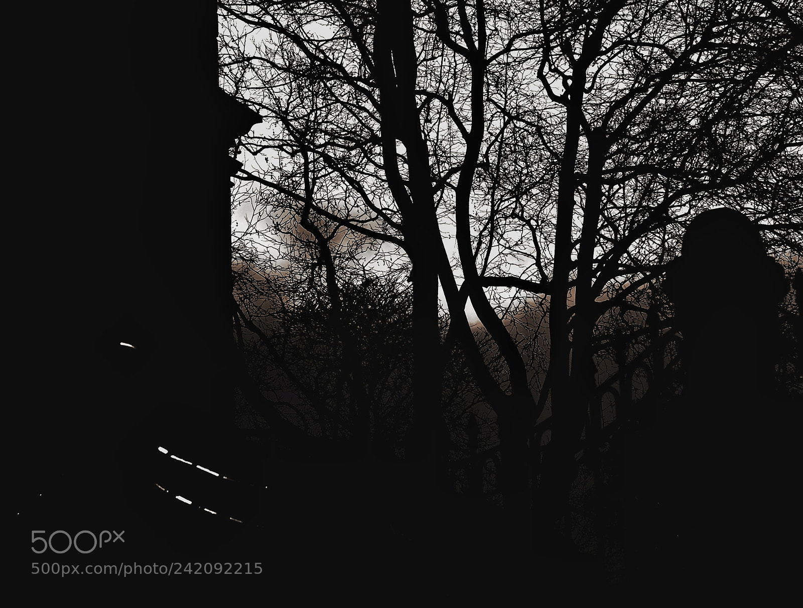 Fujifilm X-T10 sample photo. Untitled photography