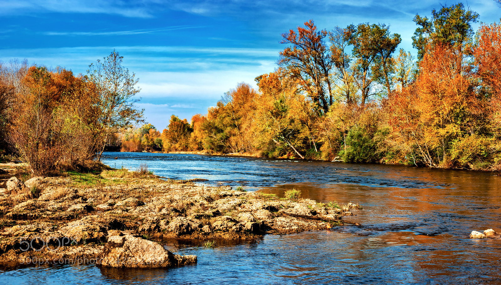 Nikon D7200 sample photo. Autumn at midday. photography