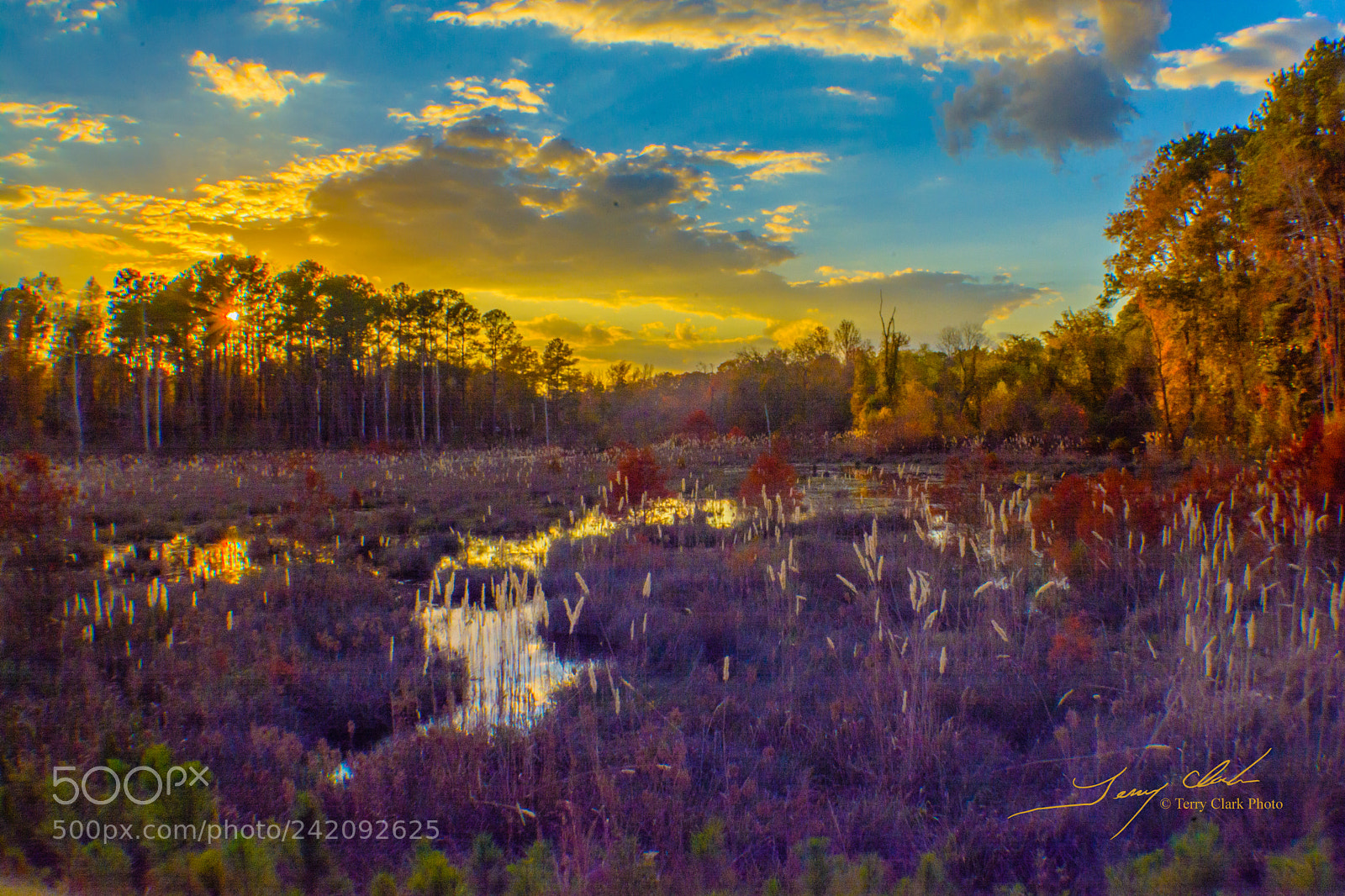 Nikon D7100 sample photo. Falling creek marsh photography