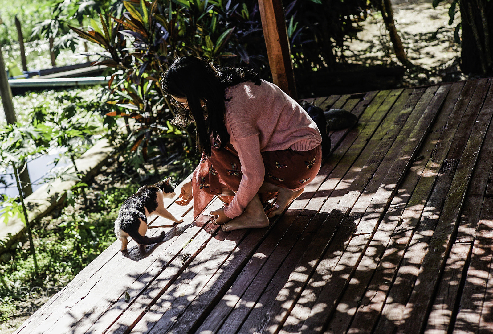 Sony a7 II sample photo. The girl & cat photography