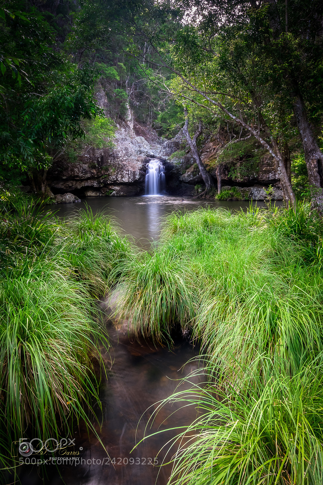 Sony a7 II sample photo. Rock pool kondalilla falls. photography
