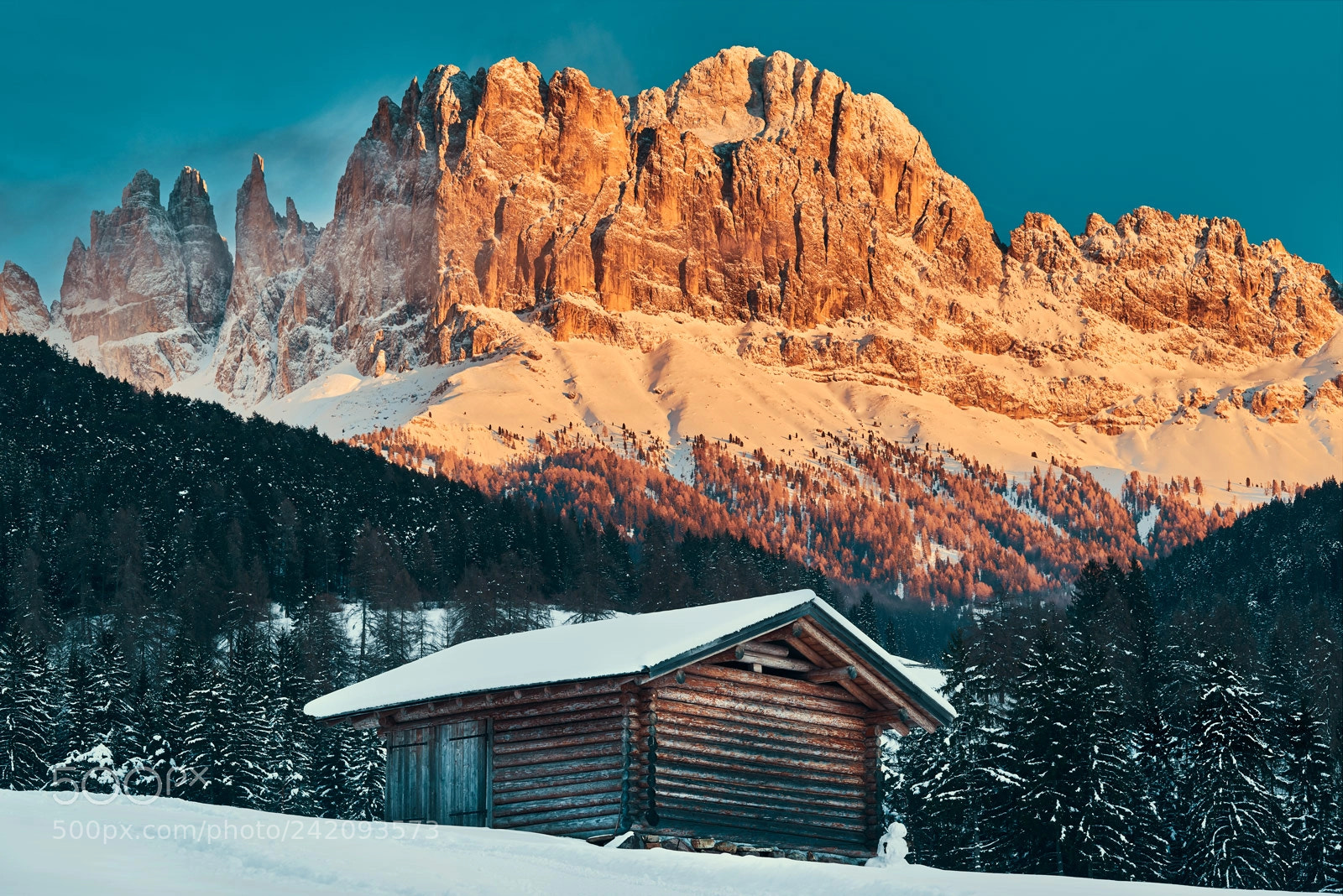 Nikon D800 sample photo. Rosengarten photography