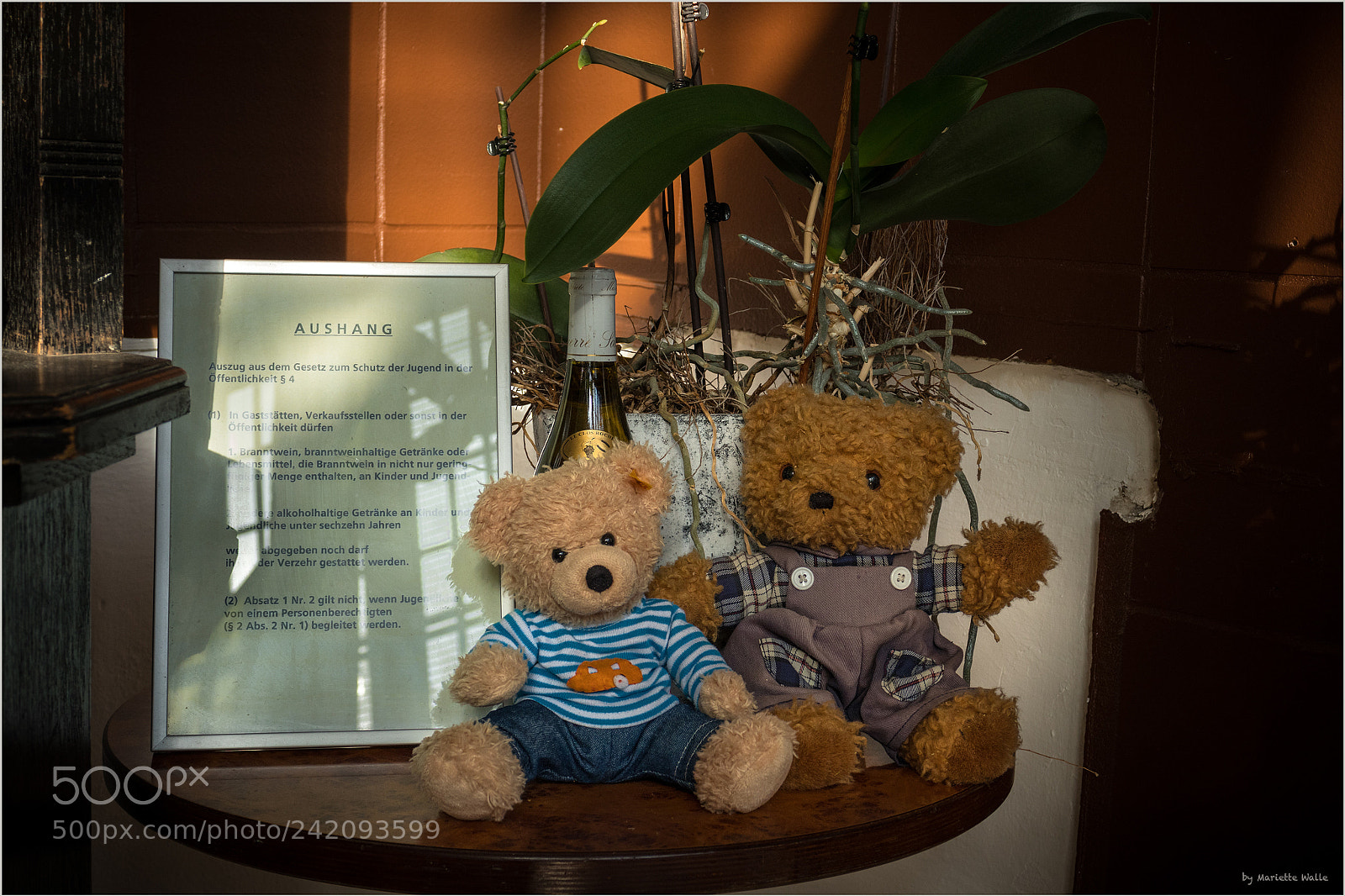 Canon EOS M5 sample photo. Teddy met a friend photography