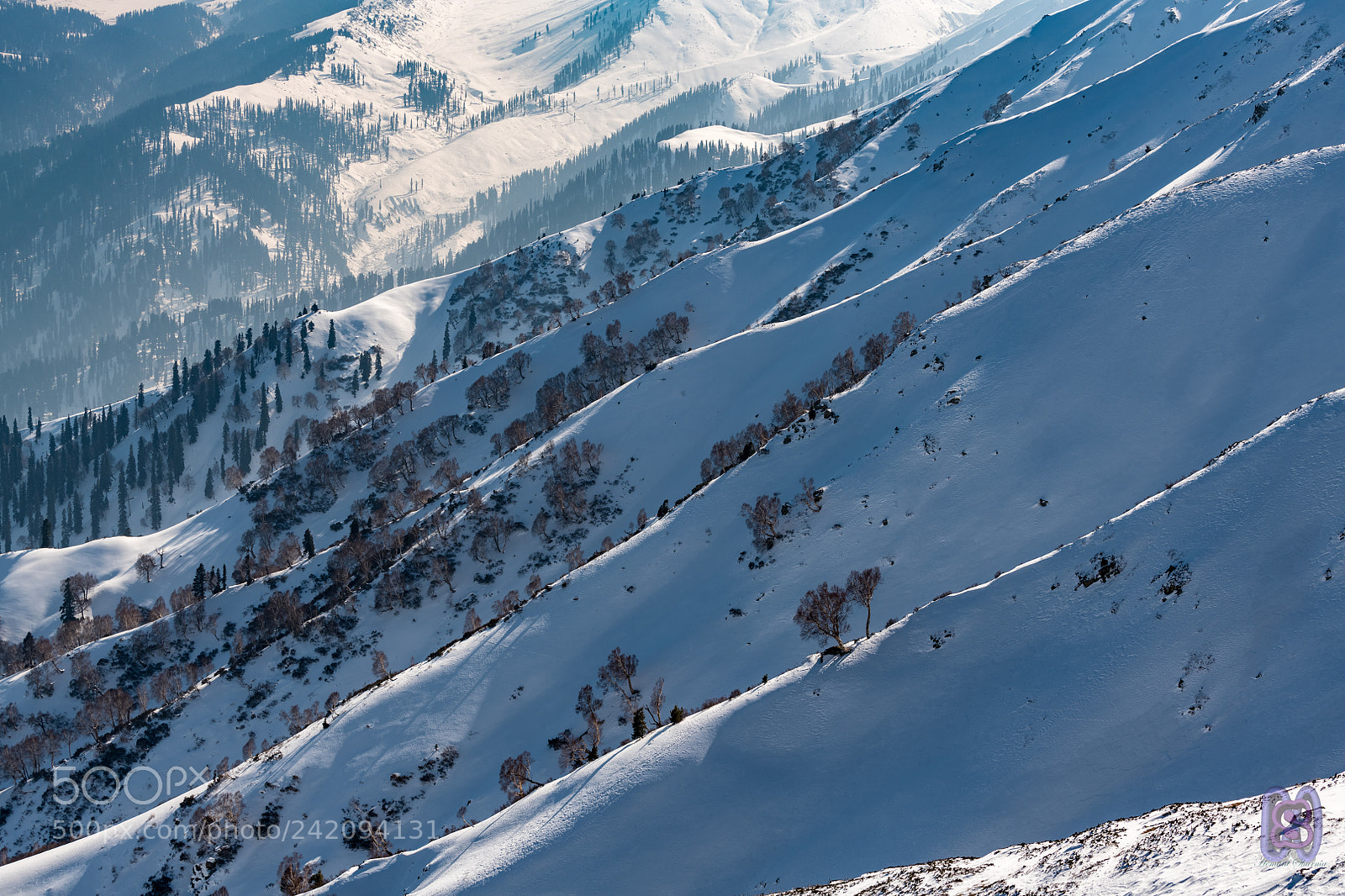 Nikon D850 sample photo. Climbs of kashmir photography