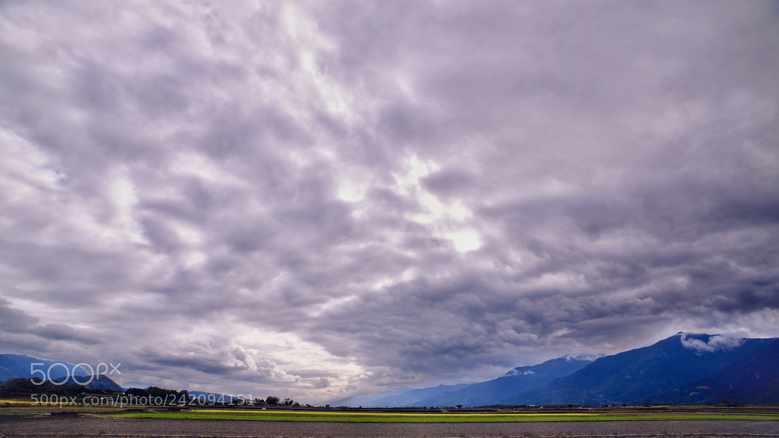 Nikon D810 sample photo. Untitled photography