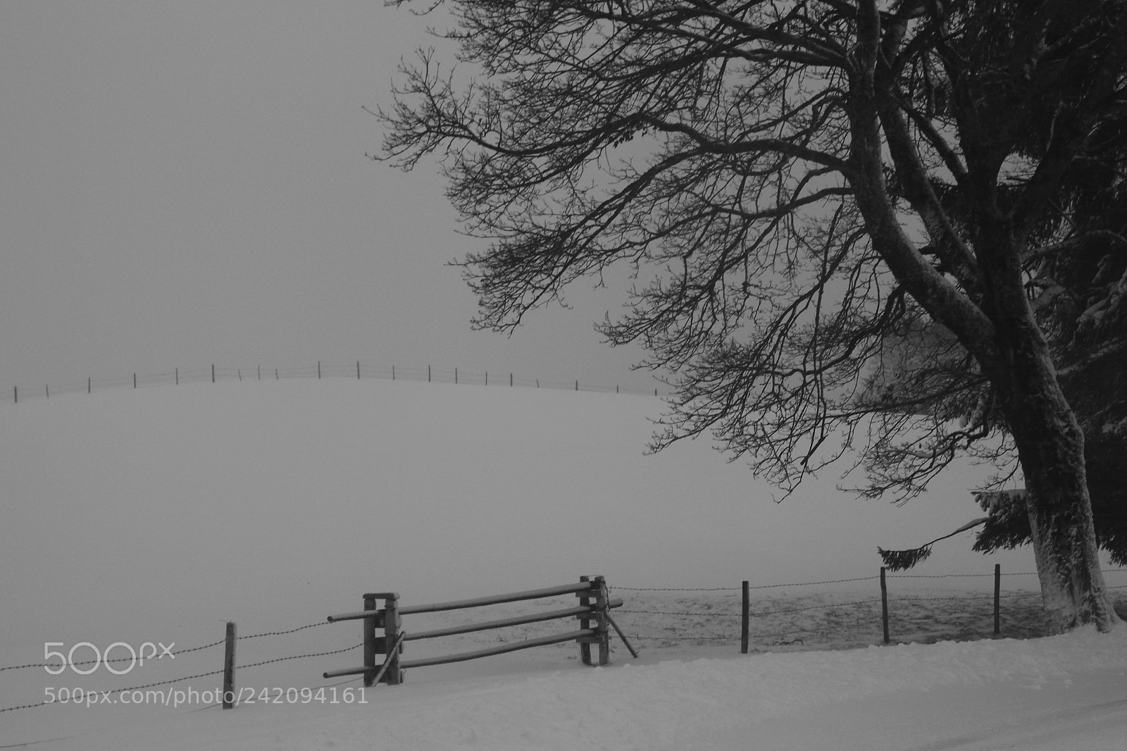 Canon EOS 550D (EOS Rebel T2i / EOS Kiss X4) sample photo. Snow in faistenoy photography